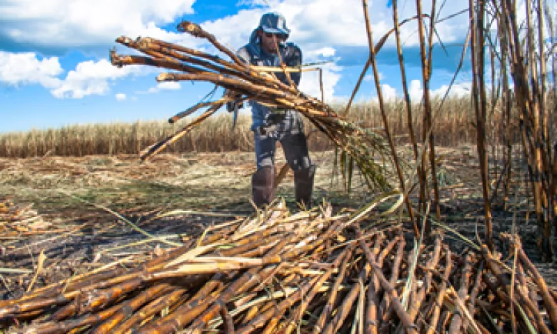 Para la licitación había 12 grupos nacionales y extranjeros finalistas. (Foto: iStock by Getty )