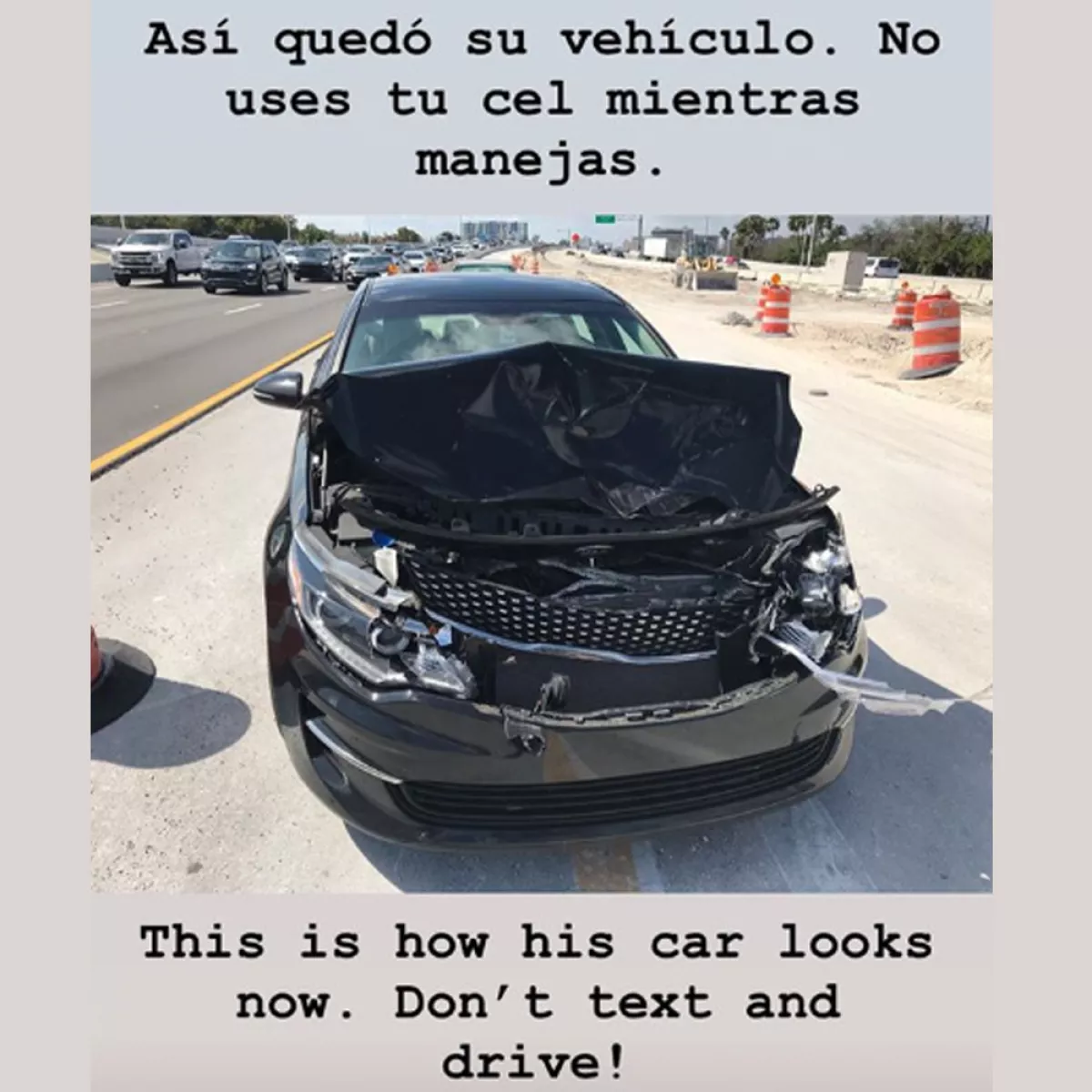 REGILauto.jpg