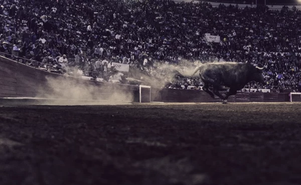 toros-plaza-mexico-.jpeg