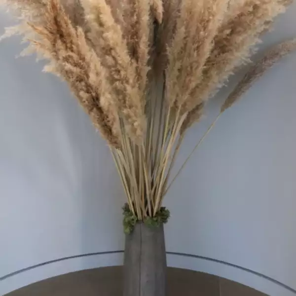 Kim Kardashian recibió decenas de flores por su cumple 37