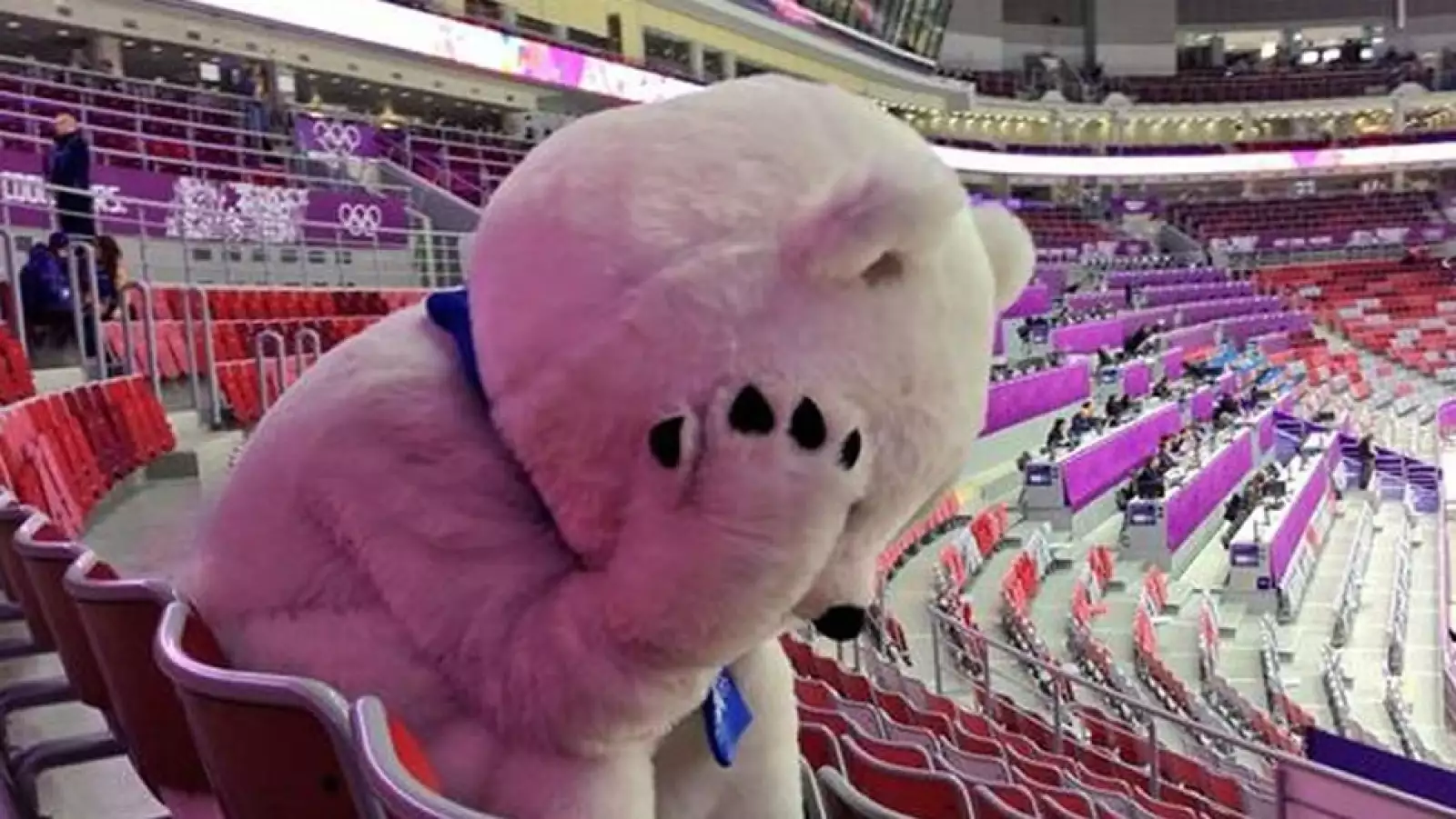 sochi, juegos olimpicos, invierno, clausura, fotografias, momentos, rusia