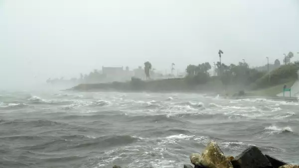 #Harvey