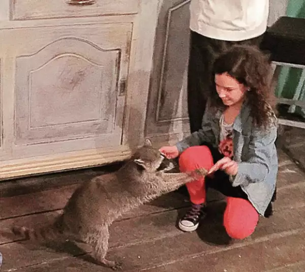 Mía visitó a los mapaches de un refugio.