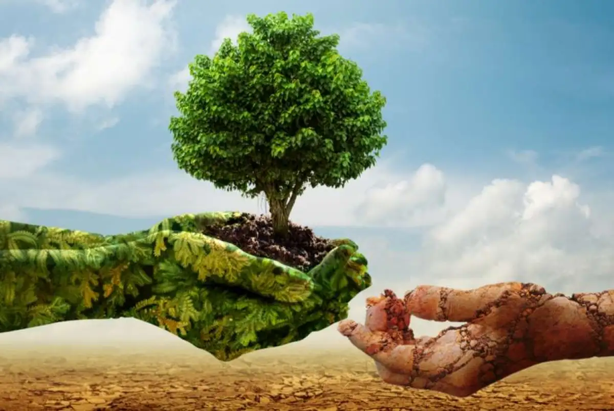 ESG, la práctica que no pueden posterga las empresas