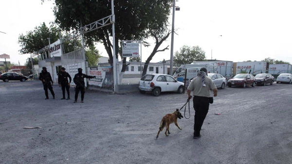 Search of Debanhi Escobar, an 18-year-old law student who has been missing since April 9, in Escobedo