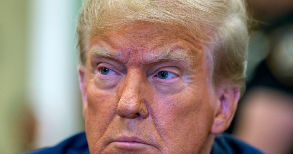 Trump adında bir kuğu
