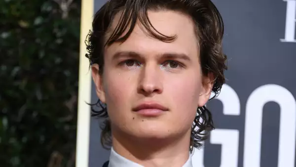Ansel Elgort.