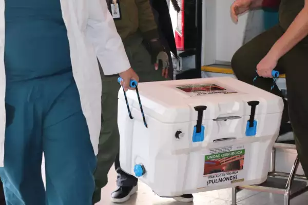 traslado-pulmones.jpeg