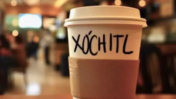 xochitl galvez starbucks