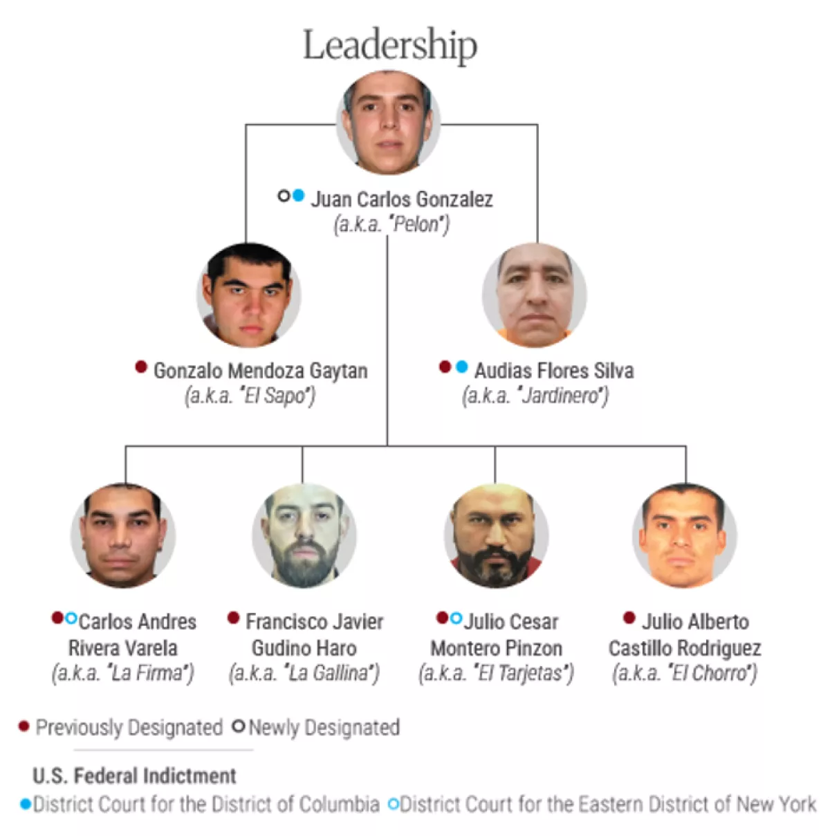 cjng organigrama