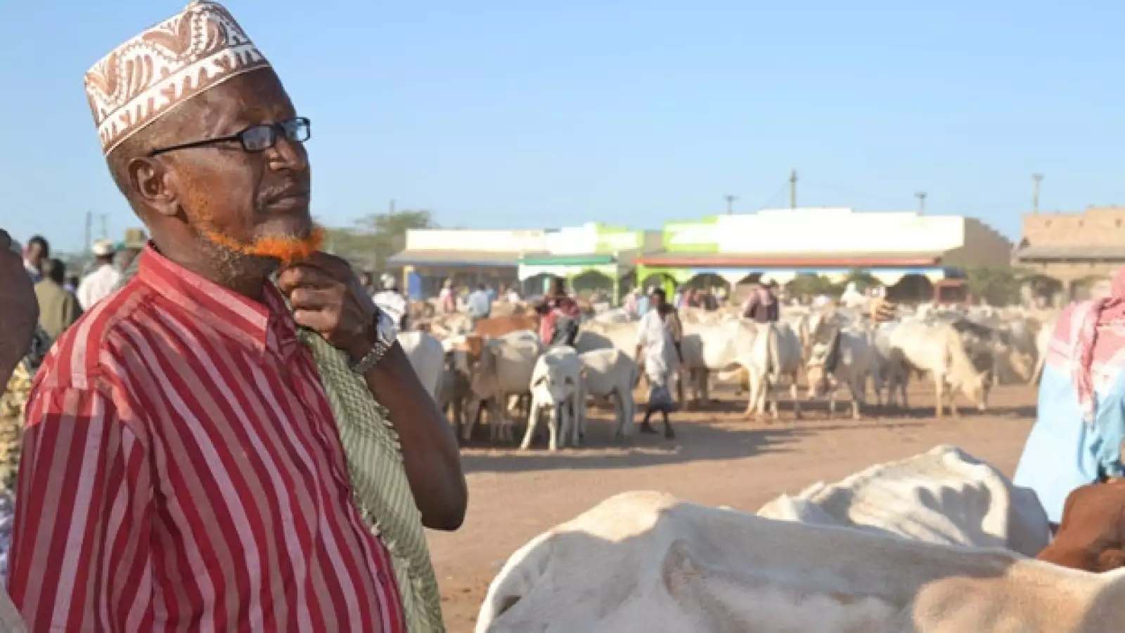 Somalia - comprador - mercado