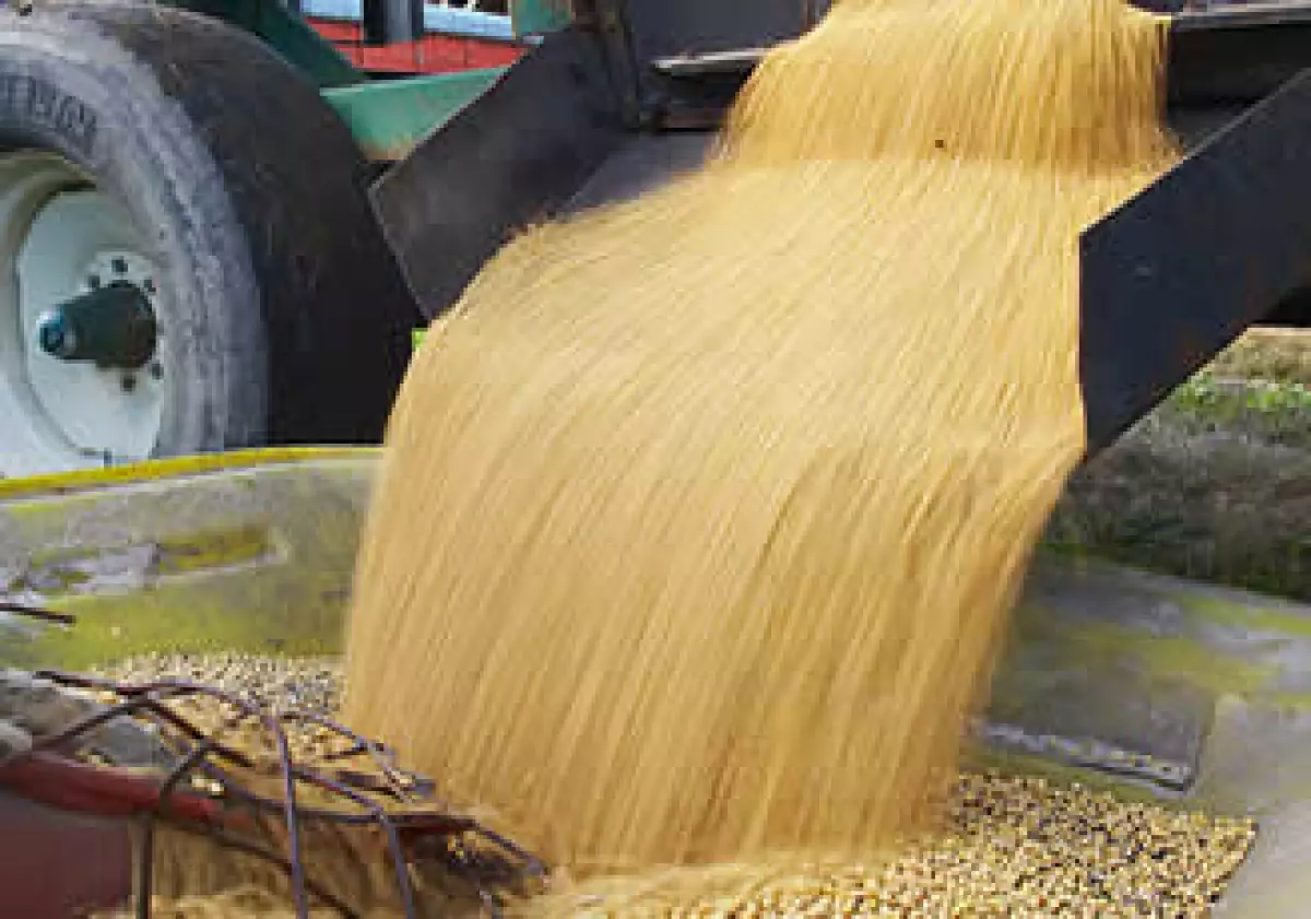 El Grupo Maseca es el productor más grande de harina de maíz y tortillas en el mundo. (Foto: Jupiter Images)