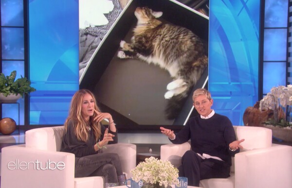 ELLEN-SEX-MAIN-ELLE