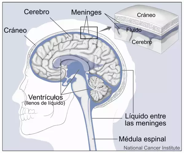 image (21).png