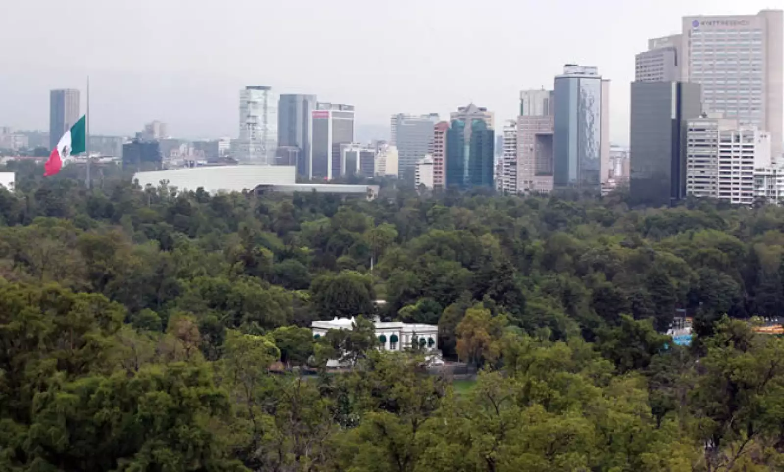 Cargo anterior: secretario de Medio Ambiente con Fox. Actividad actual: el economista es socio y director general de SIFROMEX, firma que ofrece servicios financieros a los migrantes de México y Latinoamérica en EU.