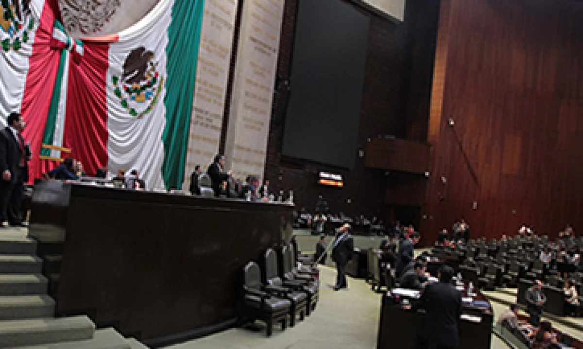 Los órganos reguladores actuarán en conjunto con el Gobierno federal. (Foto: Notimex)