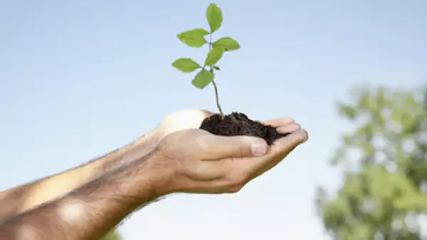 Los bancos y fondos de inversión  están buscando proyectos sustentables, que sean rentables en el largo plazo. (Foto: Getty Images)