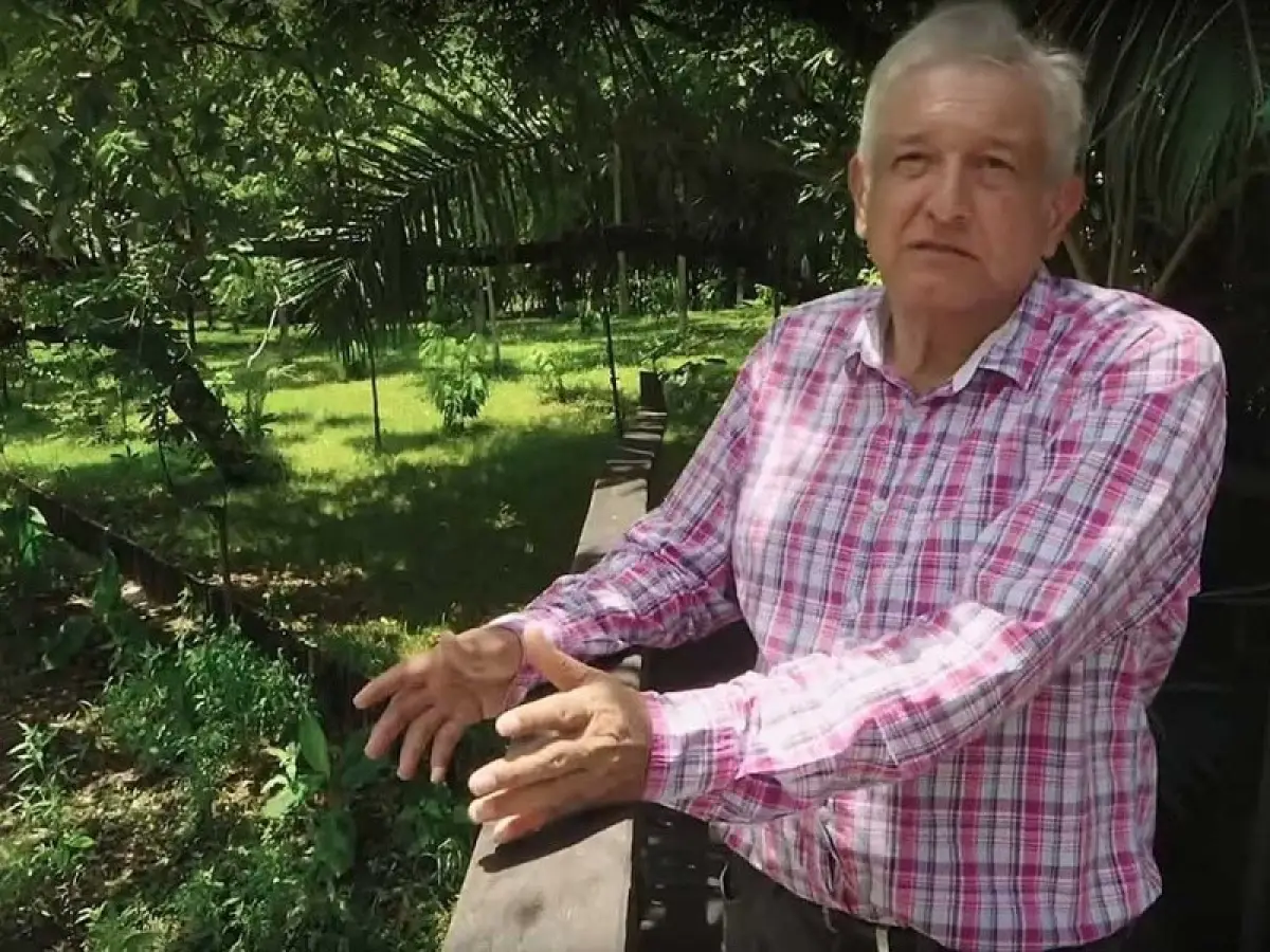 finca en Chiapas.jpeg