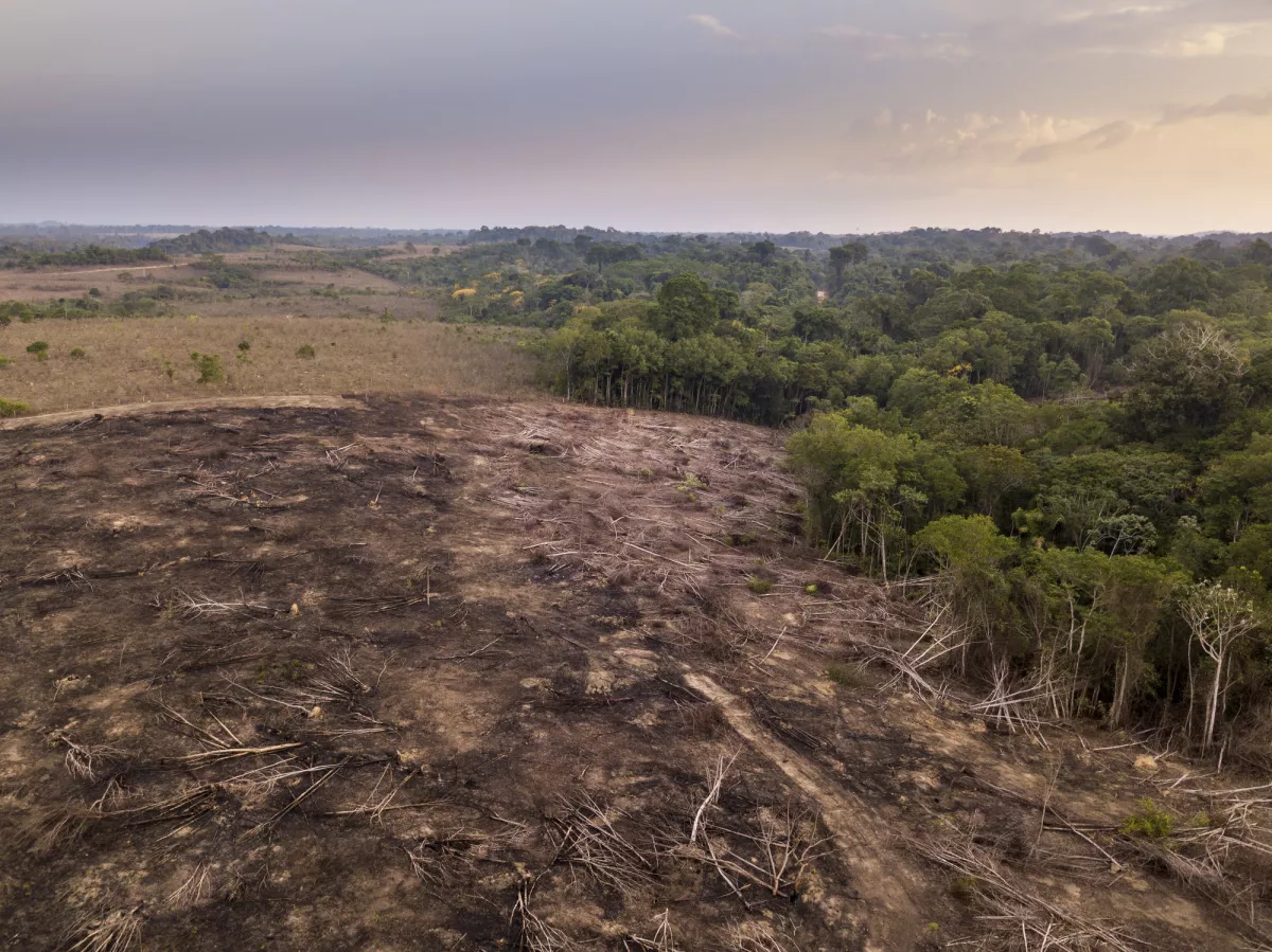 Deforestacion-amazonas