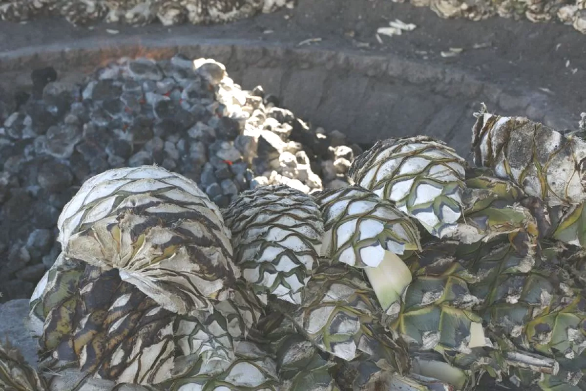 Cortesía Mezcal Amores
