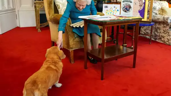 Perros corgis de la reina Isabel II