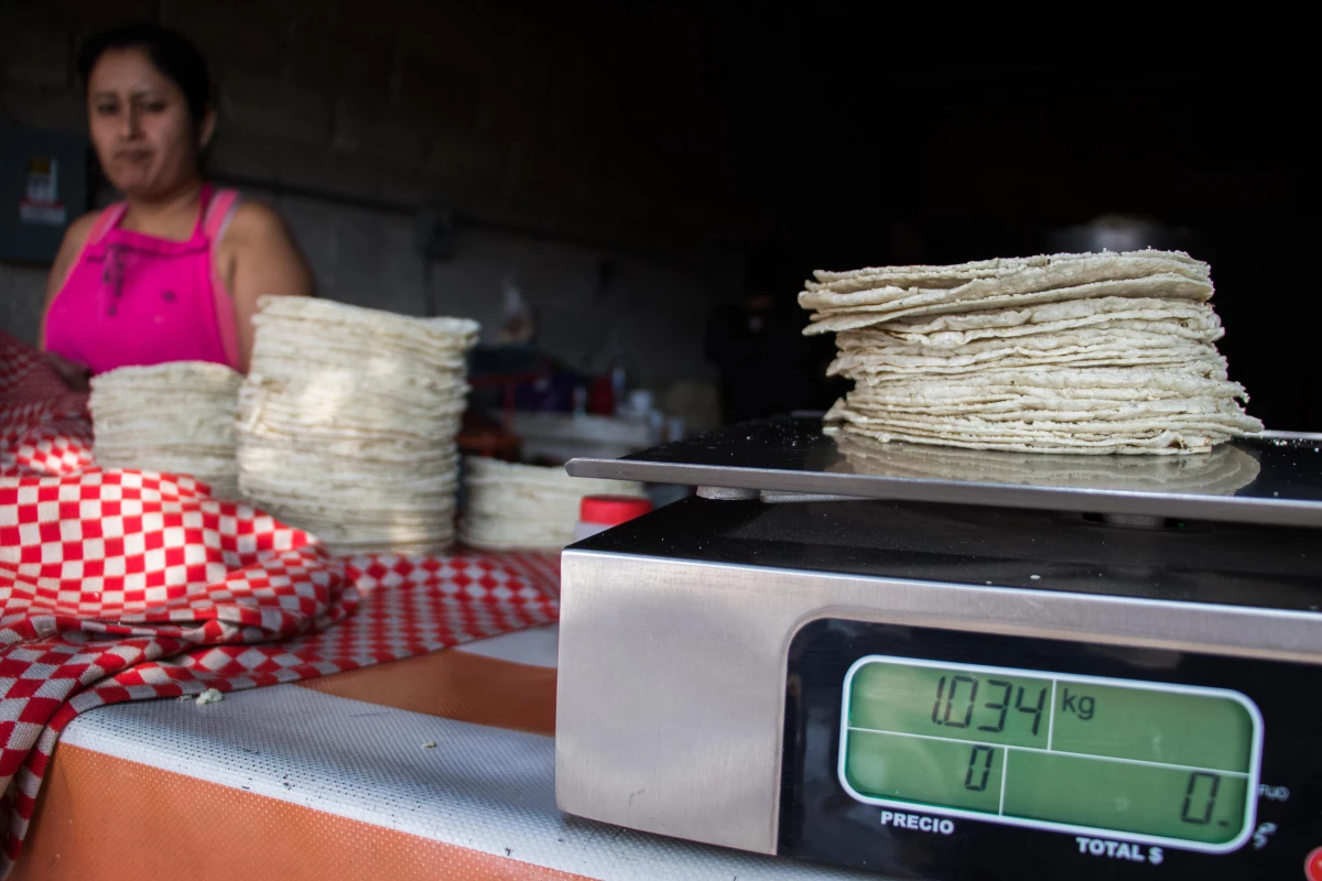 Precio de la tortilla insumos