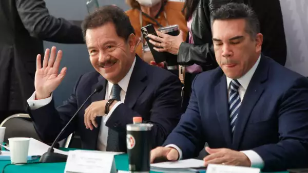 cámara de diputados