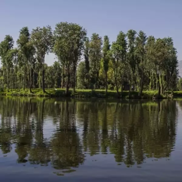 SIEMBRA, AGUA, CANALES, PAISAJE, AGUA, 