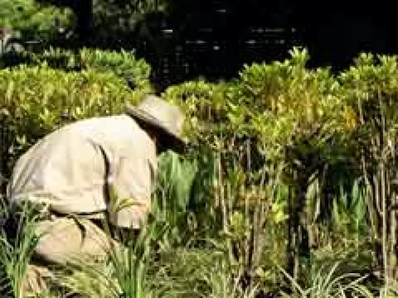 El sector agropecuario continúa en conflicto contra el gobierno de Fernández. (Foto: Archivo)