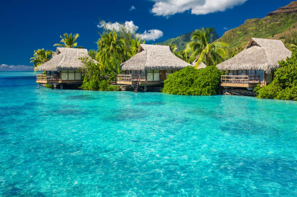 tahití LGBTIQ+.png