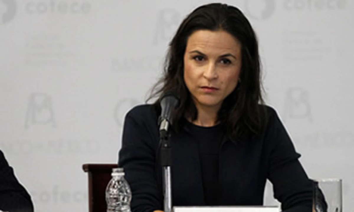 La CFCE, que dirige Alejandra Palacios, tendría un poder amplio para definir y fijar precios sobre insumos esenciales. (Foto: Notimex)