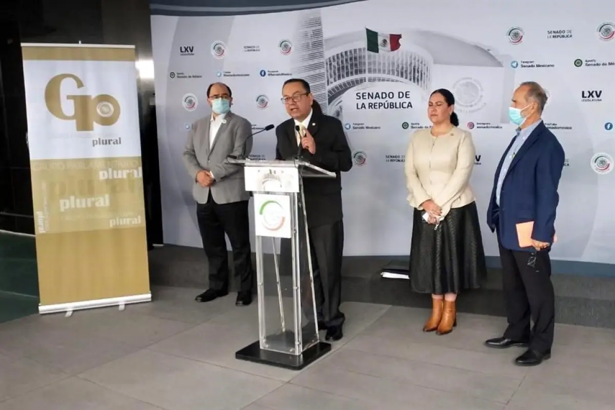 senado-rechaza-formación-de-grupo-plural
