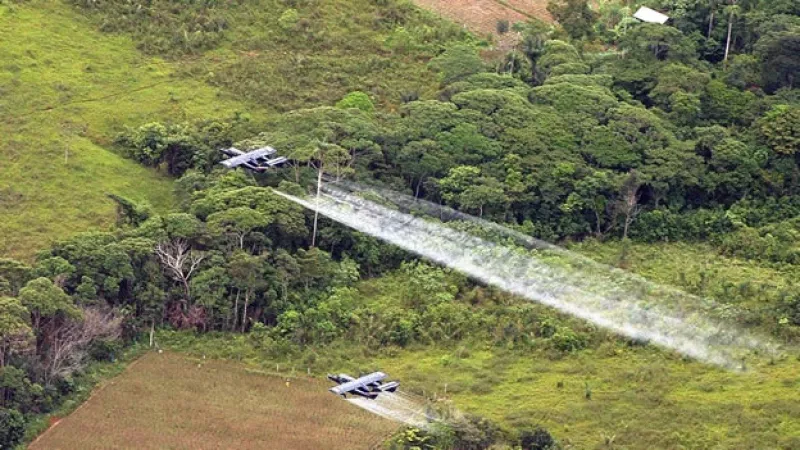 Aviones fumigan cultivos de coca
