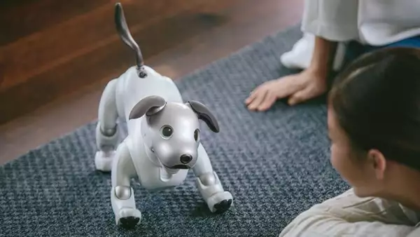 Aibo