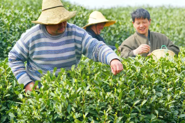 Producción agrícola