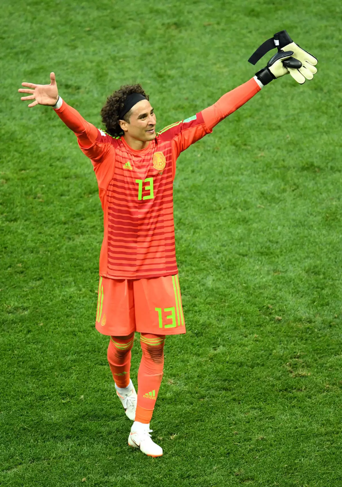 Germany v Mexico: Group F - 2018 FIFA World Cup Russia
