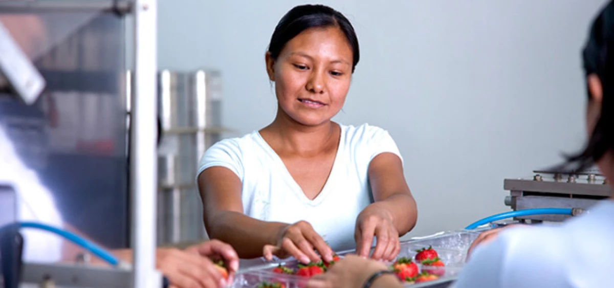 A la alza las pymes de migrantes