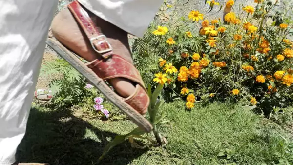 Los niños amuzgos provenientes de Guerrero, se enfocaron en sus costumbres y tradiciones.