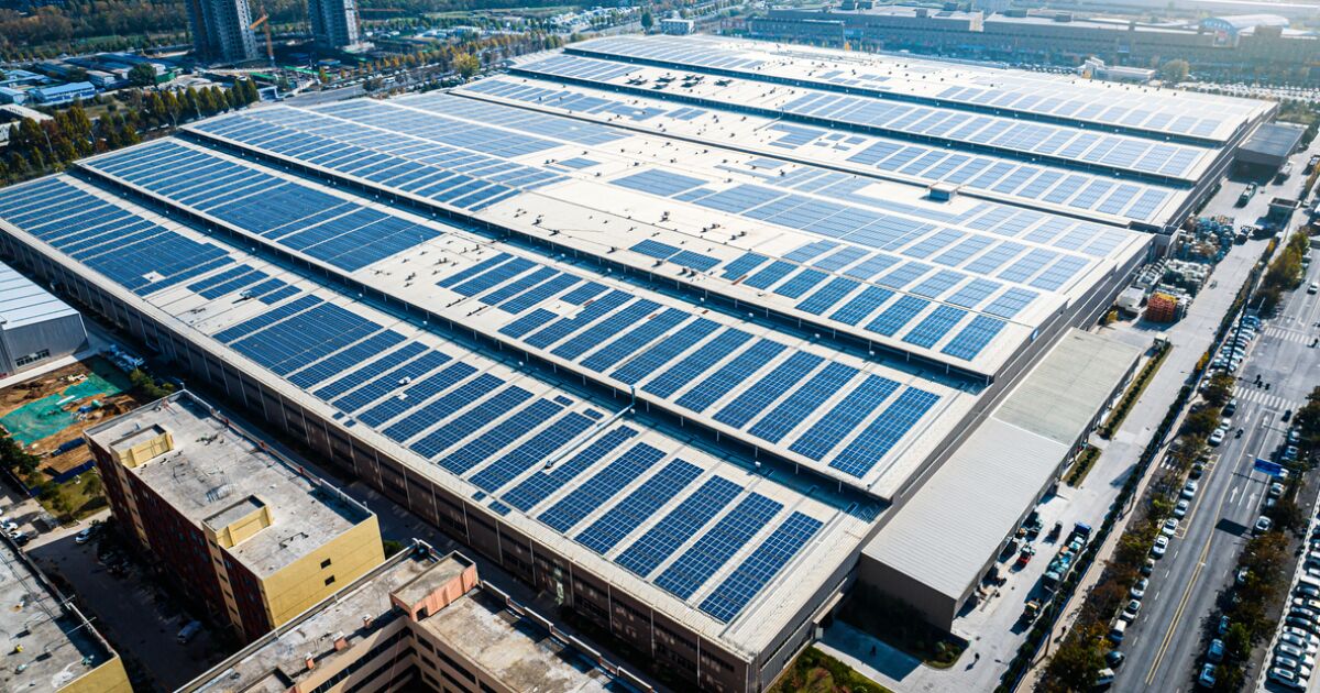 CFE DESPLUMA A EMPRESARIOS: ¡SE LANZAN A LOS PANELES SOLARES!