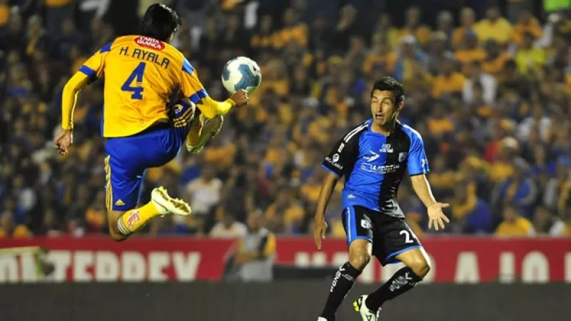 Tigres