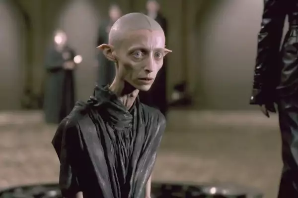 Harry Potter en Balenciaga-land