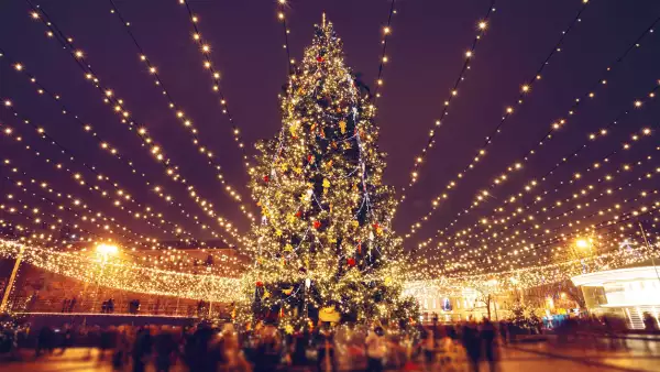 las plazas comerciales de la CDMX ya preparan el encendido del árbol de navidad