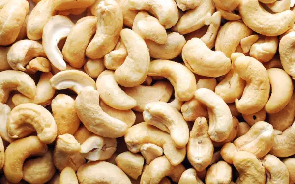 Leches-alternativas-5