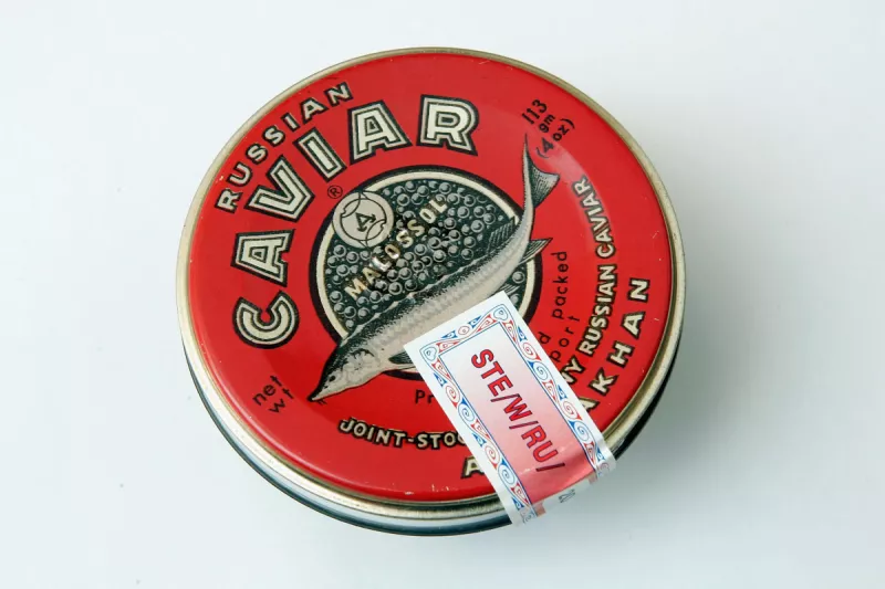 (Caviar Sevruga de exportación Rusa)
