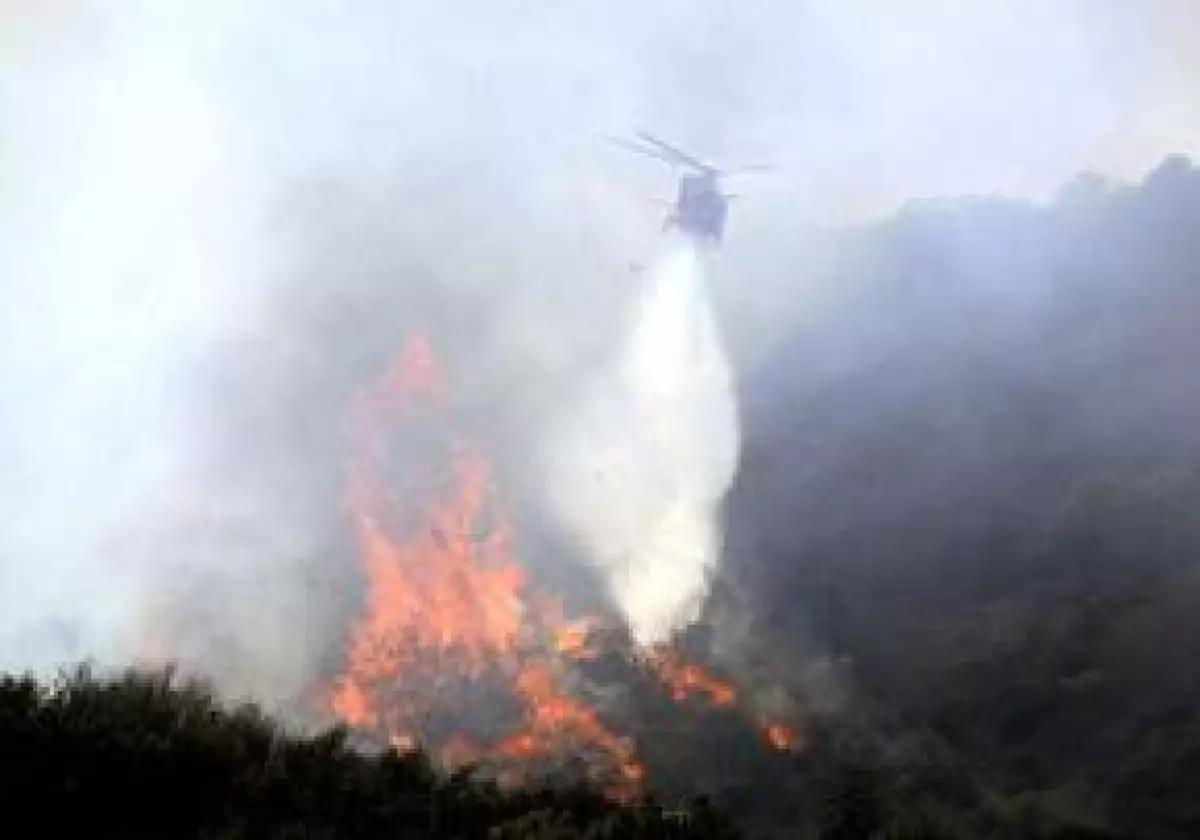 Entre 1,6 y 4 hectáreas de maleza en la avenida Getty Center Drive, en Los Ángeles, fueron consumidas por el incendio. Empleados y visitantes del centro tuvieron que abandonar el edificio.