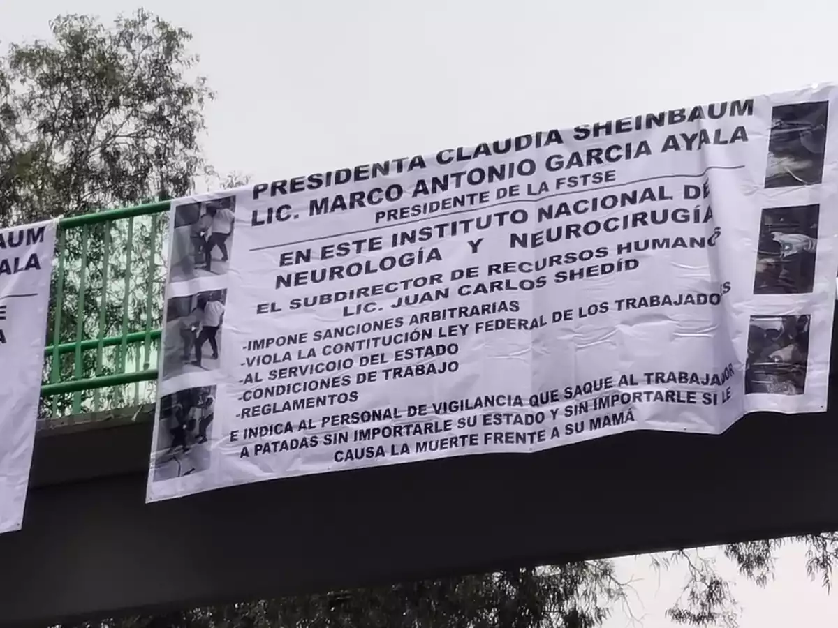 instituto-neurologia-desabasto.jpeg