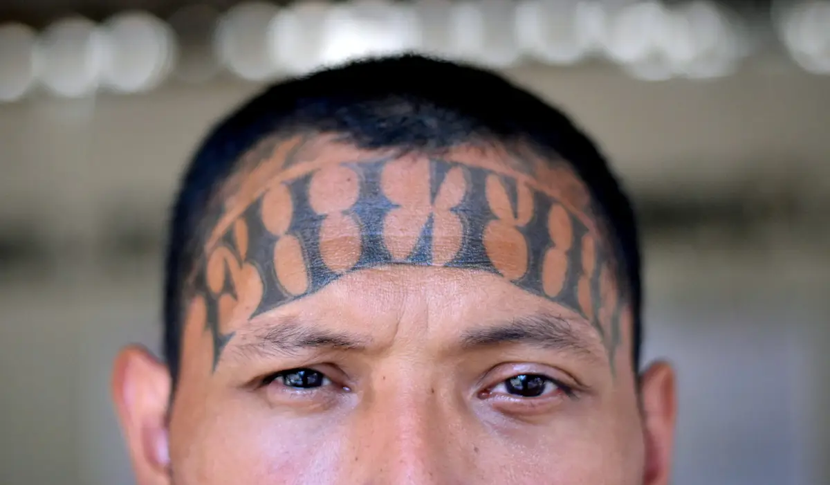 Mara-Salvatrucha