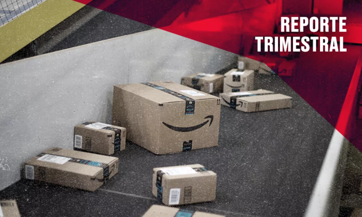 amazon-reporte trimestral