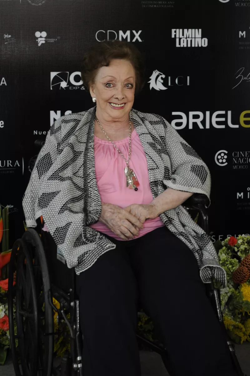 60th Ariel Awards - Nominees Photocall