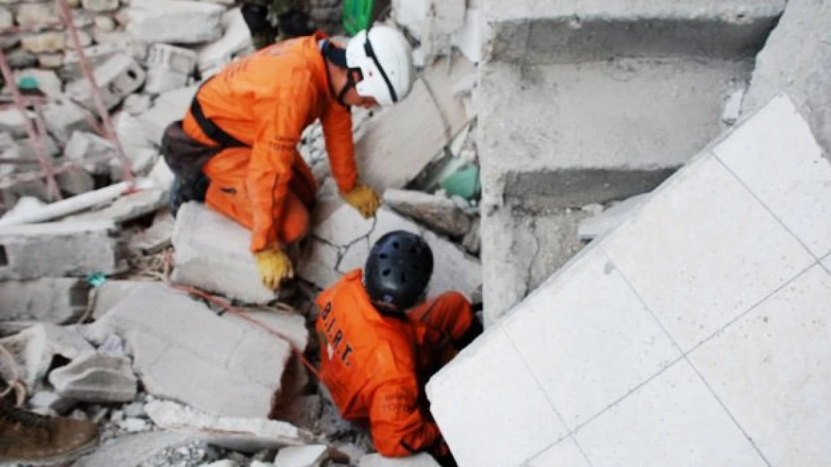 Topos naranjas brigada de rescate